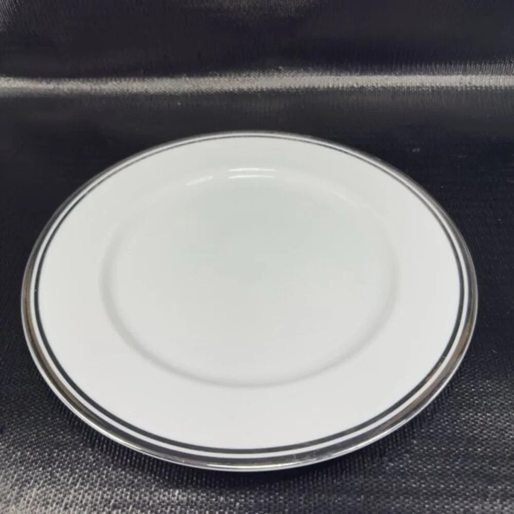 2005‎ Royal Doulton Pure Platinum Double Silver Band Plate Dish 10.5inch Set 3